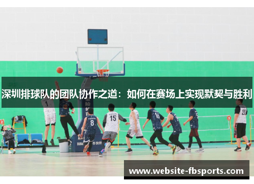 深圳排球队的团队协作之道：如何在赛场上实现默契与胜利